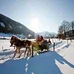 Holzchalet Nahe Skilift Hohentauern Chalet