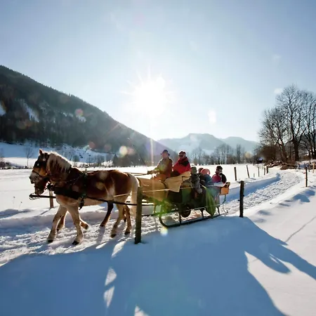 Holzchalet Nahe Skilift Chalet